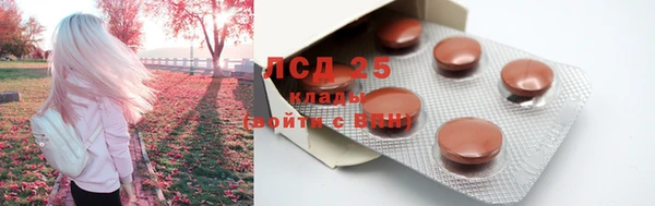 крисы Богородск