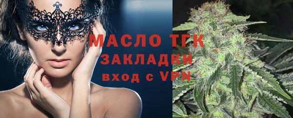 твердый Богородицк