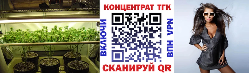 Купить закладки  Губаха  ТГК Wax 