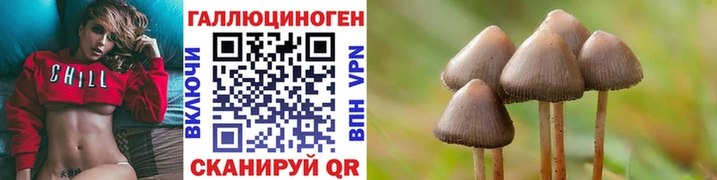 Купить закладки  Губаха  Галлюциногенные грибы мицелий 